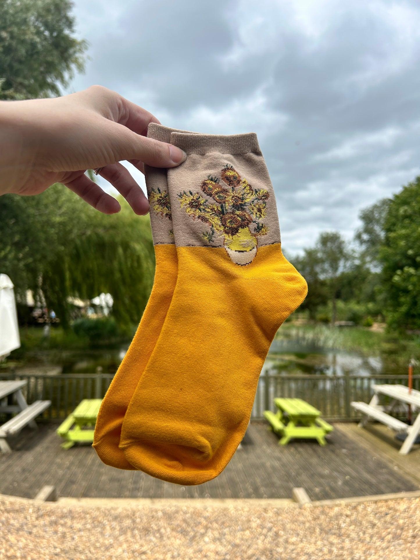 Artist-Inspired Cotton Socks