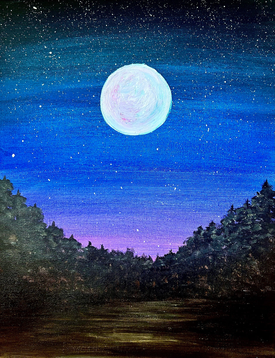 Paint Night Parties with Effy, Beginner Friendly Effy the artist