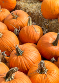 [Evening] Pumpkin Painting - October 30th, Saffron Walden