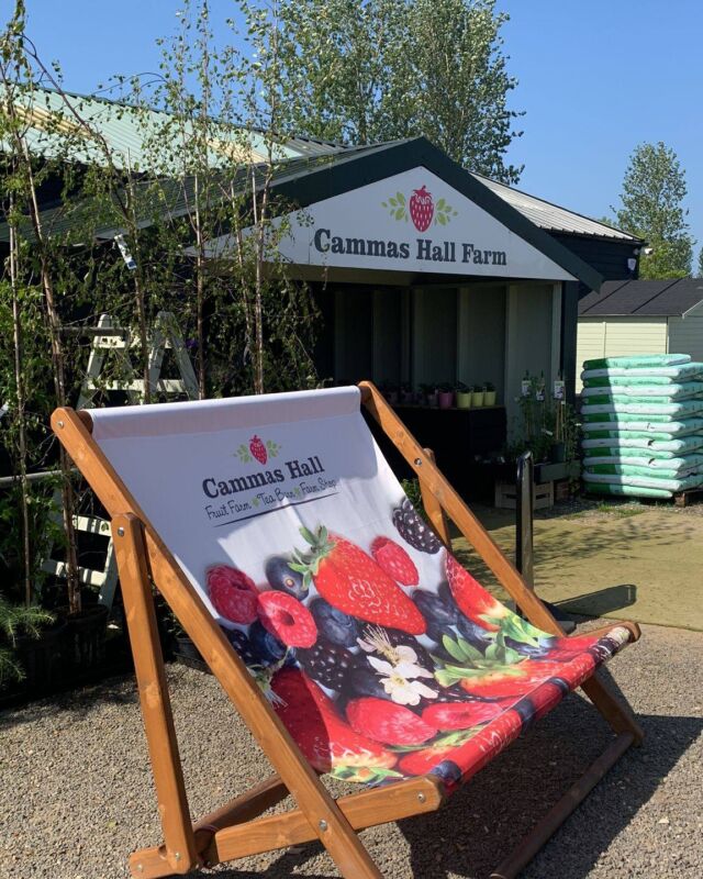 Adult Paint Class with Tea & Cake - August 22nd, Cammas Hall Farm